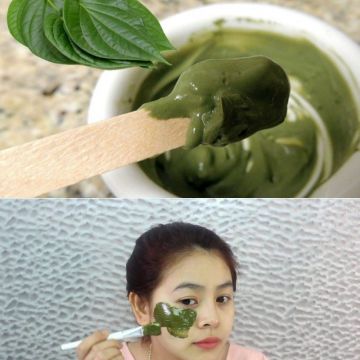 Đánh bay nám tàn nhang nhờ loại lá quen thuộc này giúp chị em tự tin khoe sắc