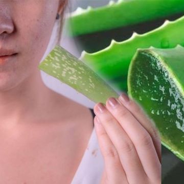 Tuyển tập các tips hay ho trị mụn bằng nha đam đơn giản, hiệu quả