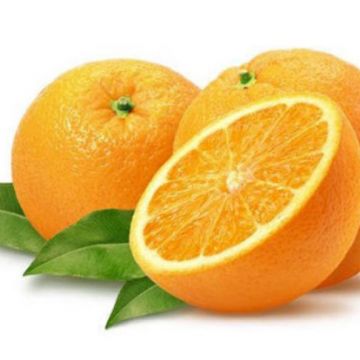 Thực phẩm giúp chị em dưỡng trắng da từ sâu bên trong