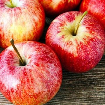 Thực phẩm ít calo tốt cho quá trình giảm cân